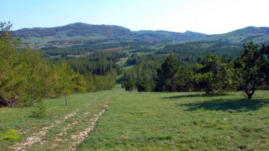 Что посмотреть в Крыму? Лучший маршрут через Ай-Петринскую яйлу
